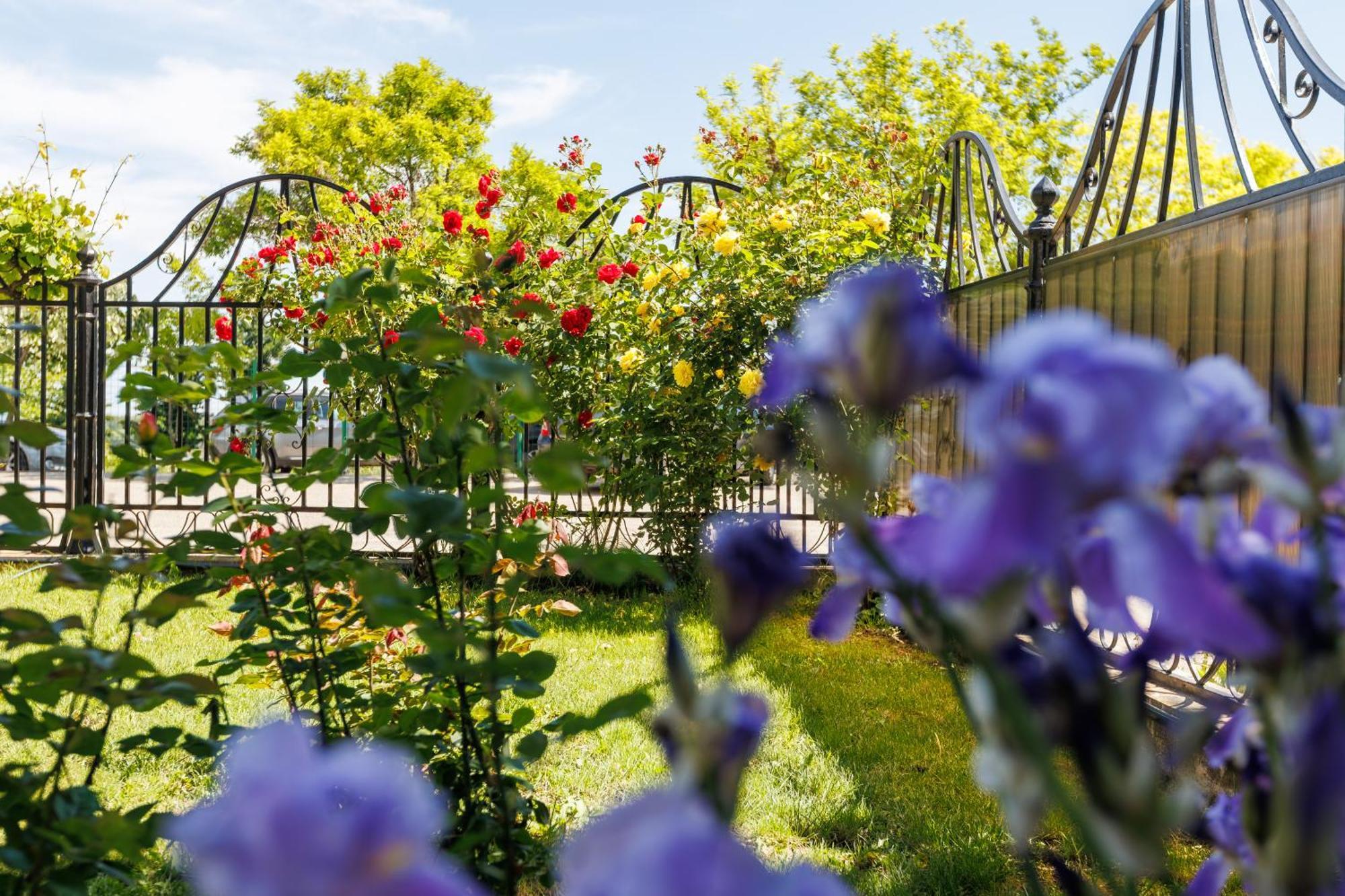 Vila Belvedere Galati  Luaran gambar